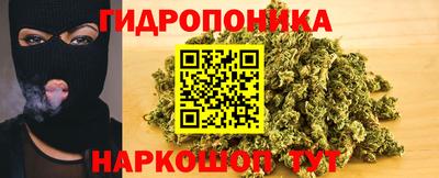 apvp Заволжье