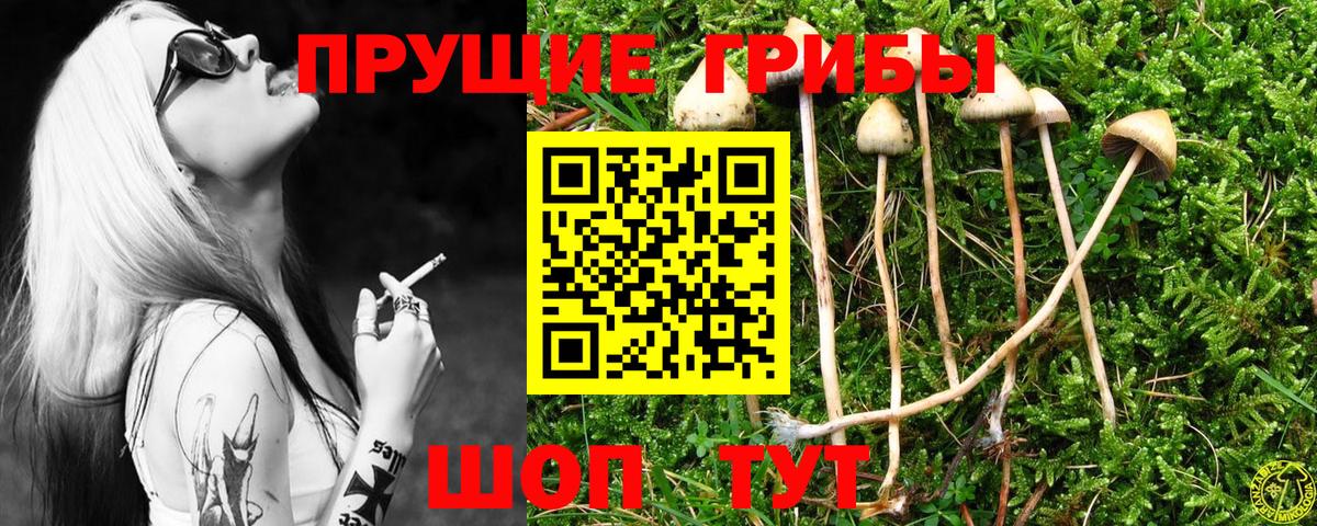 Галлюциногенные грибы Psilocybine cubensis  Вход с VPN  дарнет шоп  Псилоцибиновые грибы мухоморы  Миасс 